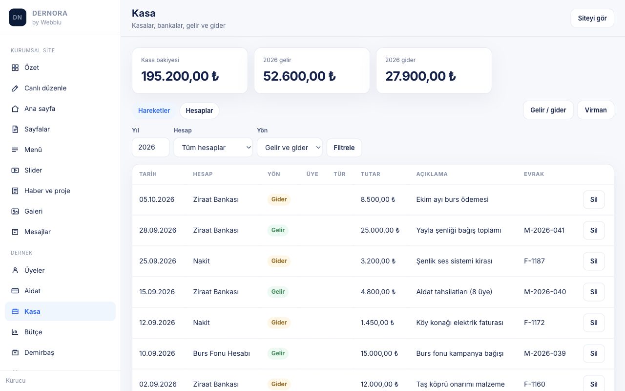 Panel · Kasa, banka, gelir ve gider